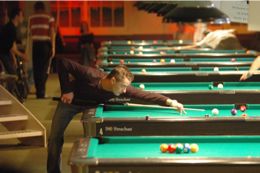 Photo Library - 3734.jpg